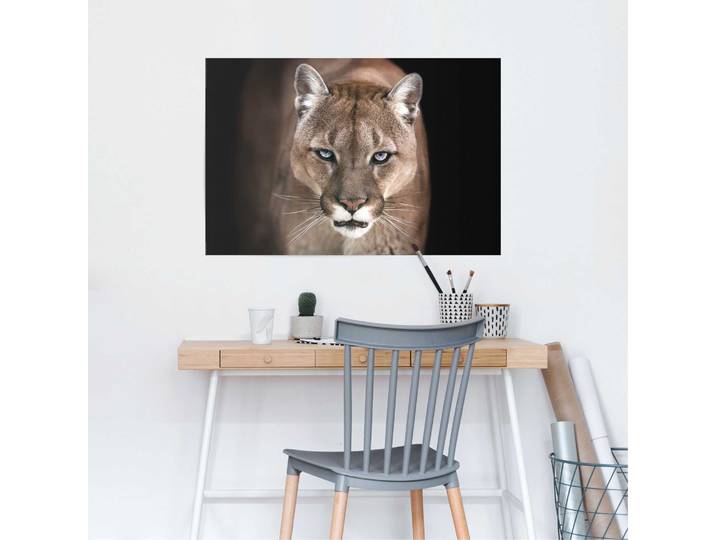 Affiche Puma Papier Beige 61 x 92 x 0cm