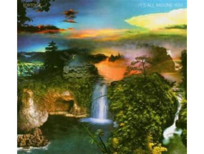 Tortoise - It's All Around You