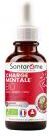 Santarome Charge Mentale Gemmo Concentrée Bio 30 ml - Flacon compte goutte