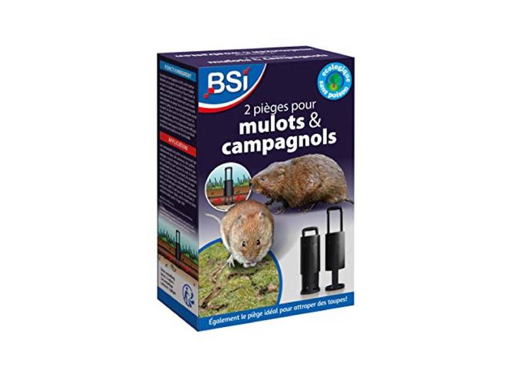 BSI - Woelmuisval - Set van 2 vallen - Geschikt voor mollen- en molratten - Complete gereedschapsset voor de uitvoering