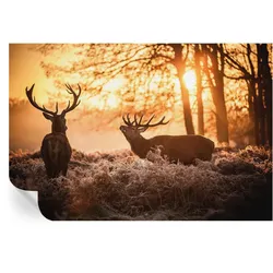 FOTOTAPETE 104x70 cm - Rehe am Morgen