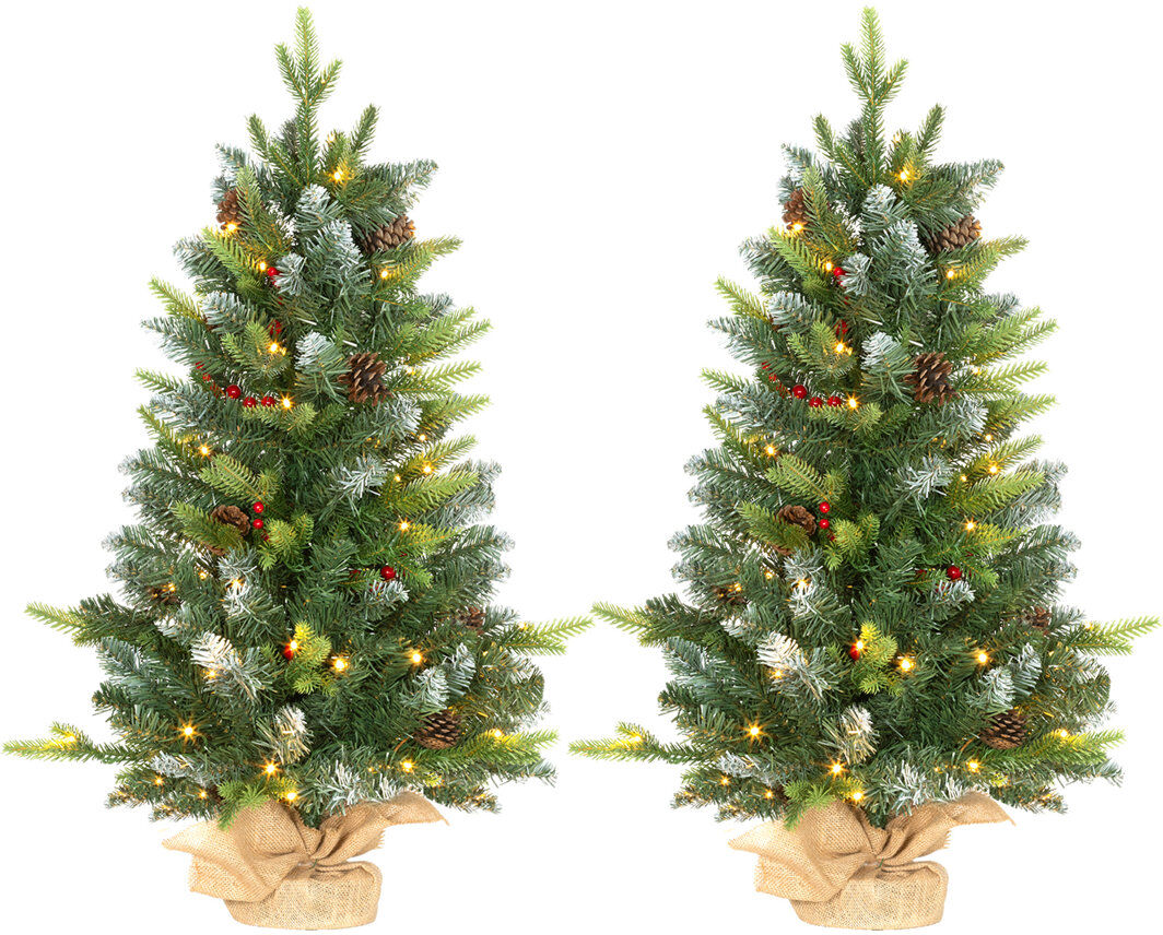 The Seasonal Aisle HOMCOM 2 Pieces 3' Prelit Artificial Tabletop Christmas Trees, LED Display Green 2.95' H X 1.87'