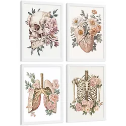 POSTER Set aus 4 Anatomie Mensch Florale Drucke und mit Schädel Herz Lungen und Skelett Botanische Aquarell dekoration Größe Weißer Rahmen A3