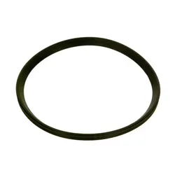 BOSCH Ersatzteil TTNR: 87182234730 Lippendichtung DN125