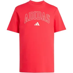 adidas Collegiate Lineage Graphic T-Shirt Herren KC7182 - pure ruby M