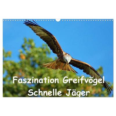 Faszination Greifvögel Schnelle Jäger (Wandkalender 2027 DIN A3 quer), CALVENDO Monatskalender