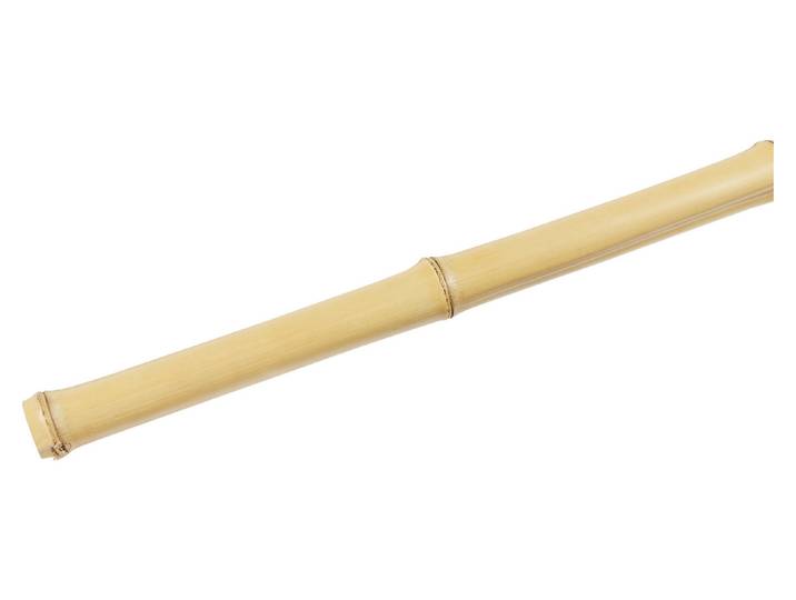 Bambus-Stab 150 cm