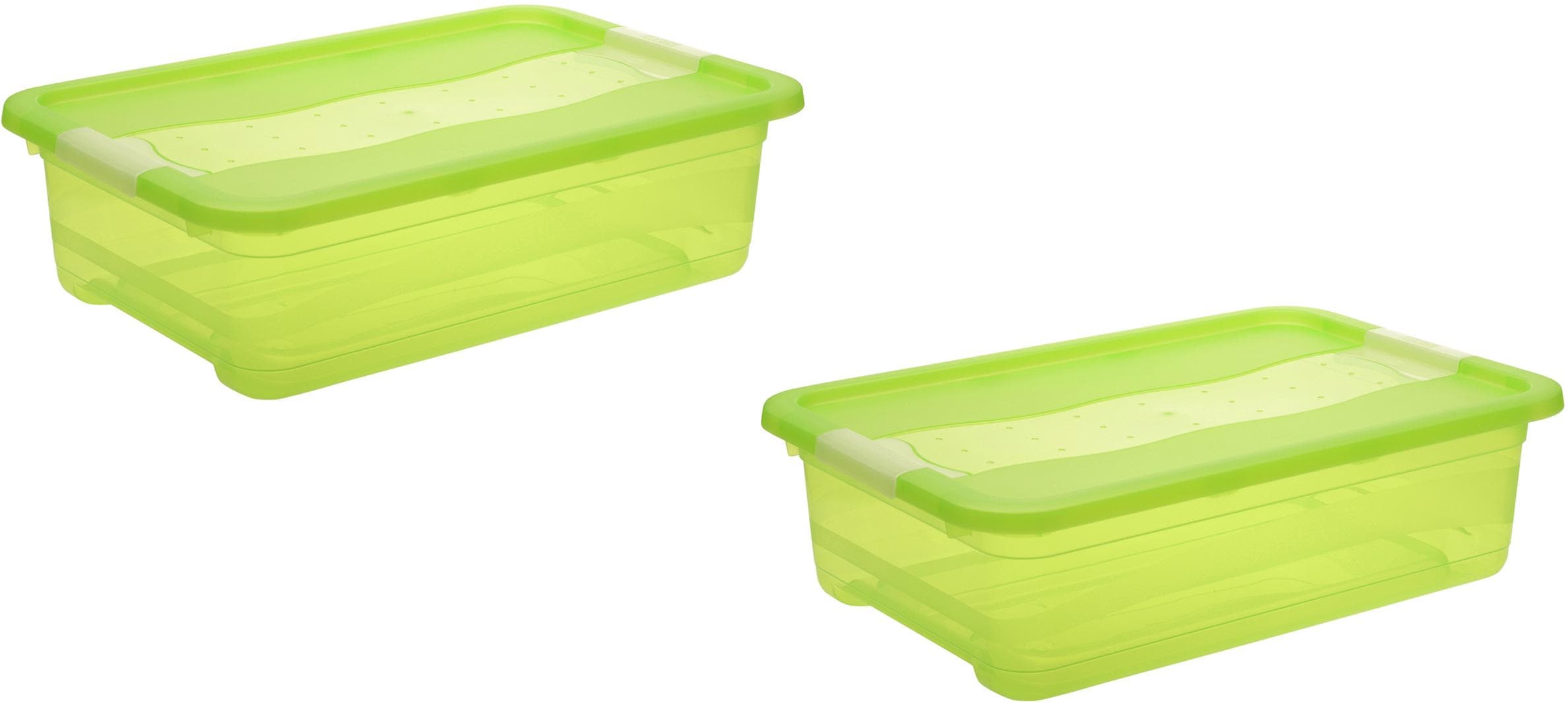 Organizer KEEEPER "cornelia", grün, B:39,5cm H:17cm T:59,5cm, Kunststoff, Aufbewahrungsboxen, Organizer, Aufbewahrungsbox, 28 L, mit Deckel, Schiebeverschluss grün Einheitsgröße