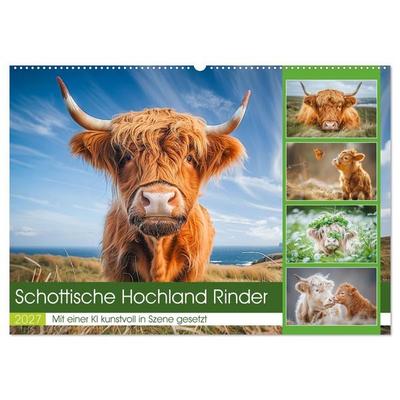 Schottische Hochland Rinder (Wandkalender 2027 DIN A2 quer), CALVENDO Monatskalender