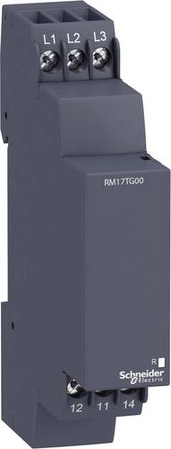 Schneider Electric Überwachungsrelais 208, 208 - 480, 480 V/DC, V/AC 1 Wechsler RM17TG00 1St.