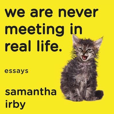 We Are Never Meeting in Real Life - Samantha Irby, Audio, 9780571349944
