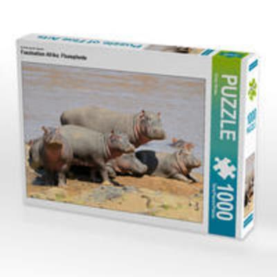 CALVENDO Puzzle Faszination Afrika: Flusspferde 1000 Teile Lege-Größe 64 x 48 cm Foto-Puzzle Bild von Elmar Weiss
