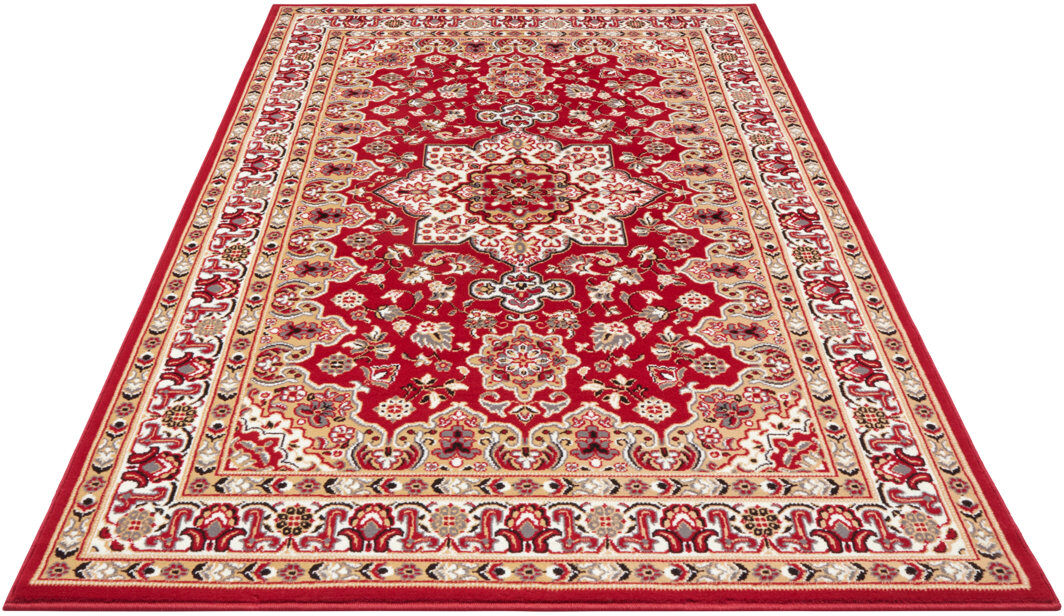 Nouristan Parun Täbriz Machine Woven Red Indoor Rug Red Rectangle 120 x 170cm