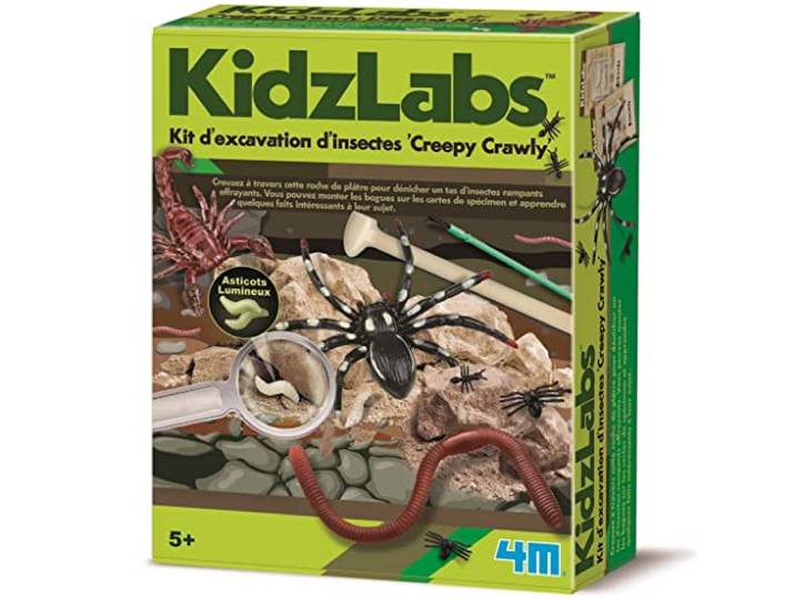 4M Digging kit Insects - French