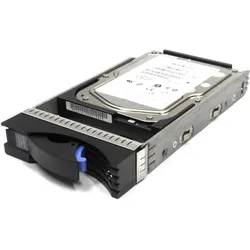 Lenovo 300 Gb 10000 Rpm 2 Gbps Fc (0.30 TB, 3.5"), Festplatte