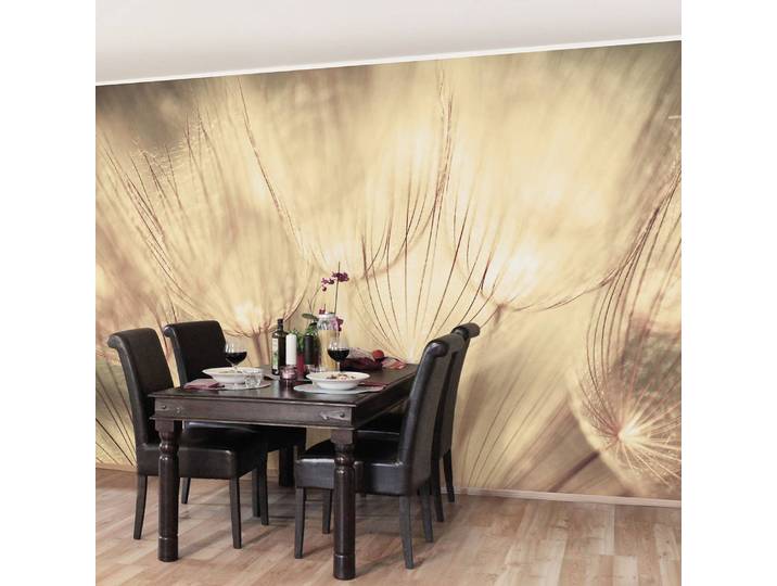 Vliestapete Pusteblumen Sepia 288 x 190cm 288 x 190 cm