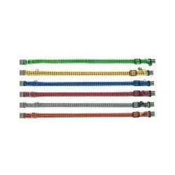Katzenhalsband Bright 10mm breit