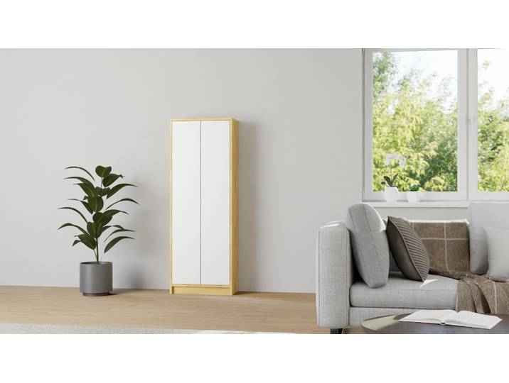Regalschrank mit Flügeltür Buche Natur geölt