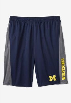 Men's Big & Tall NCAA Mesh Shorts by NCAA in Michigan (Size 3XL)