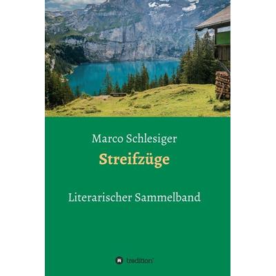 Streifzüge, Gebundene Ausgabe von Marco Schlesiger, Tredition, 978-3-7345-6562-5