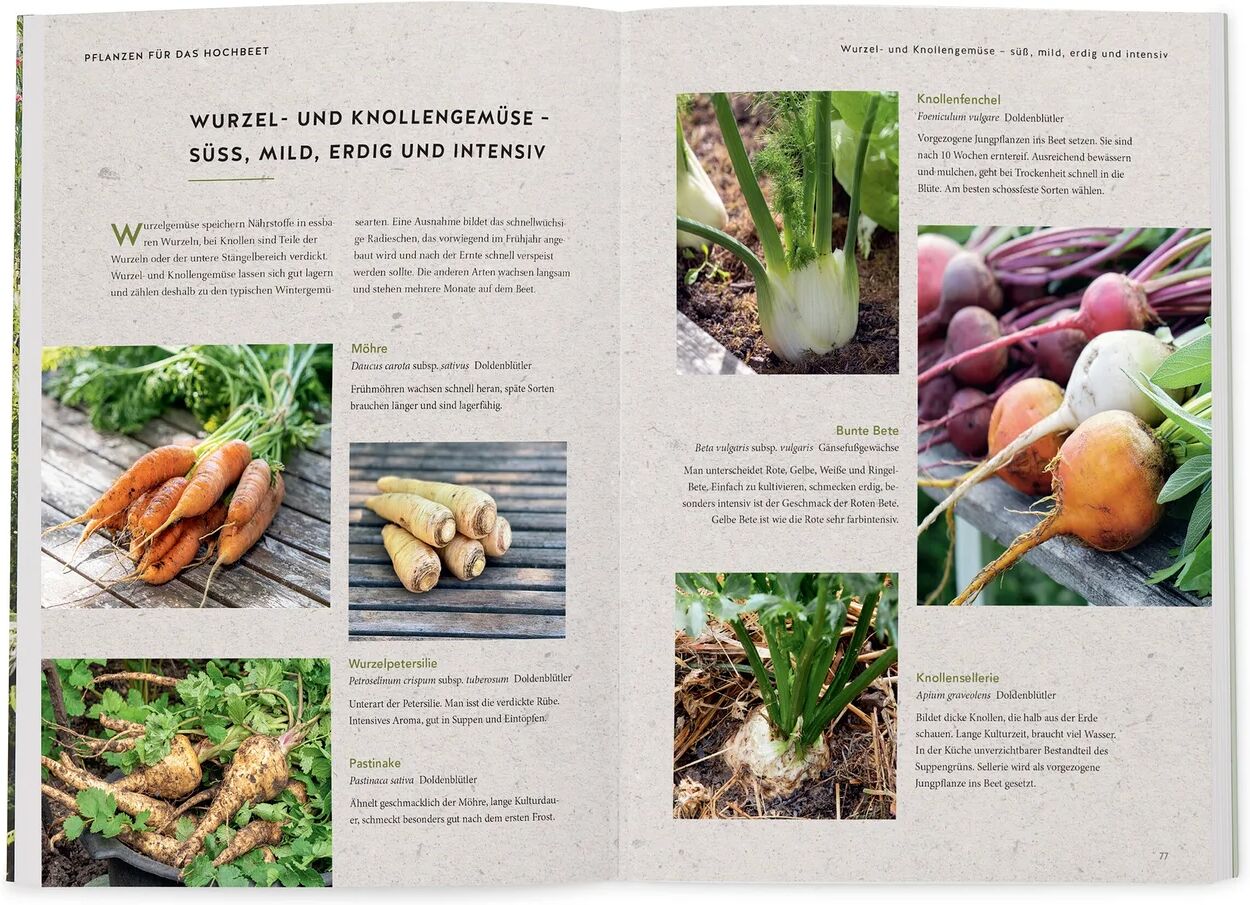 Tchibo - Buch »Neue Hochbeet-Ideen«
