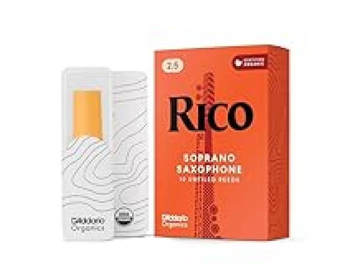 Rico Anches Rico pour saxophone soprano force 2.5 pack de 10