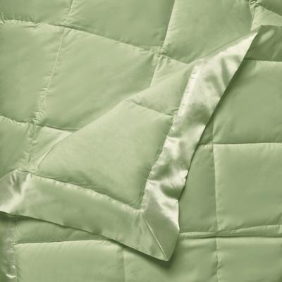 LCM Home Fashions, Inc. Solid Colored Microfiber Down Alternative Blanket
