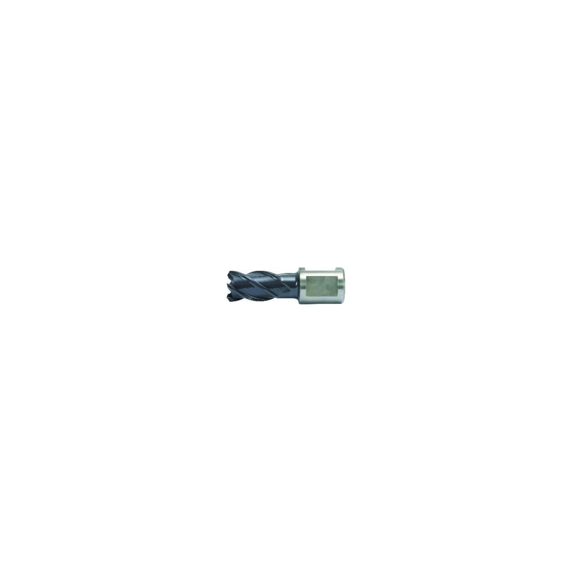 ALFRA Kernbohrer HSS-Co RQX 33/50mm (1902033050)