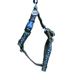 Image Hundegeschirr (M, Hund, Spazieren), Halsband + Leine