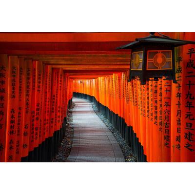 Papermoon "KYOTO TEMPEL-JAPAN BAMBUS ALLEE BUDDHA WANDTAPETE DEKO"