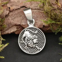Drachensilber Löwe Schmuck Astrologie Sternzeichen 925 Silber Anhänger Schmuck - Silber