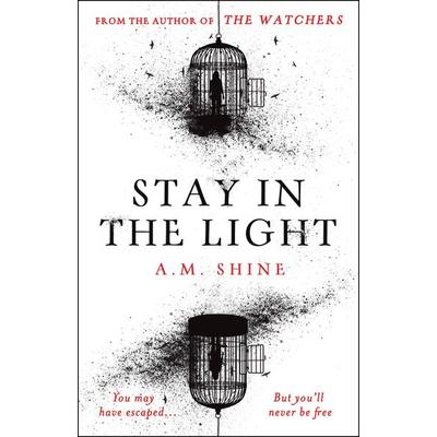 Shine, A: Stay in the Light, Taschenbuch von A. M. Shine, Bloomsbury Academic, 978-1-80454-794-6