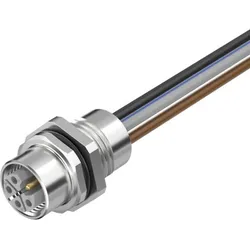 Murrelektronik Power Flanschbuchse 7000-P4292-9800150