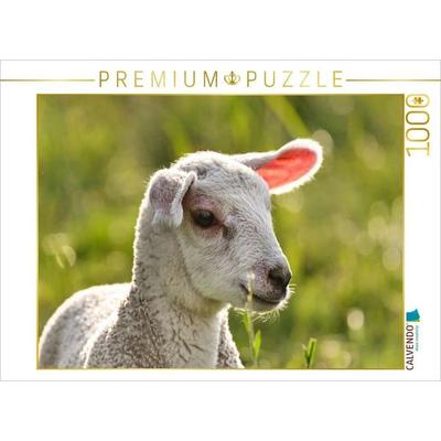 CALVENDO Puzzle Selbstbewusstes Lamm | 1000 Teile Lege-Größe 64x48cm Foto-Puzzle für glückliche Stunden, Sonstige von , Calvendo Puzzle