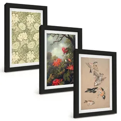 BILDER SET 3er Set - 20x30 cm Schwarzer Rahmen - Blumen, Vögel, Natur