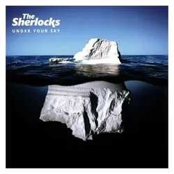 BMG Rights Management, Schallplatten, Under Your Sky (The Sherlocks)
