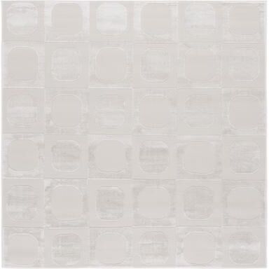 SAFAVIEH Saylor Ninia Contemporary Rug