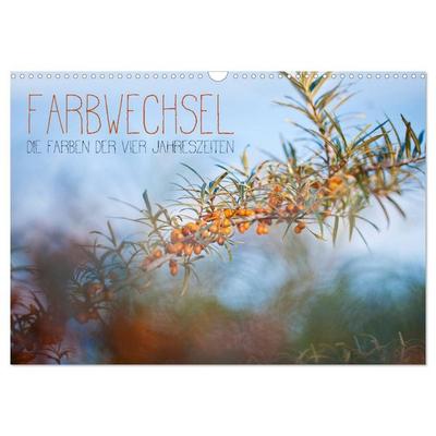Farbwechsel - Die Farben der vier Jahreszeiten (Wandkalender 2026 DIN A3 quer), CALVENDO Monatskalender