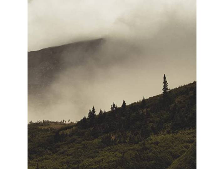 Lord Buffalo - Tohu Wa Bohu