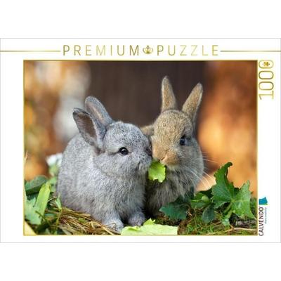 CALVENDO Puzzle Flauschige Fellknäuel | 1000 Teile Lege-Größe 64x48cm Foto-Puzzle für glückliche Stunden