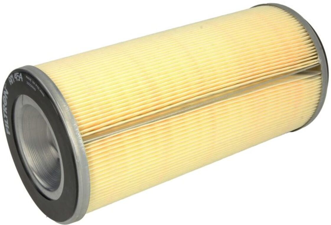 Filtron Filtro aria AM454