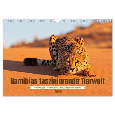 Namibias faszinierende Tierwelt (Wandkalender 2026 DIN A4 quer), CALVENDO Monatskalender