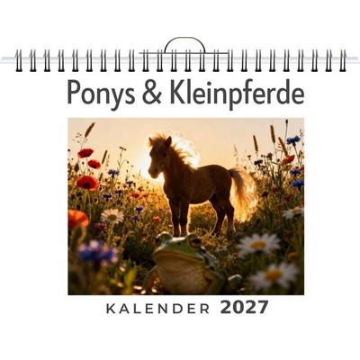 Ponys & Kleinpferde