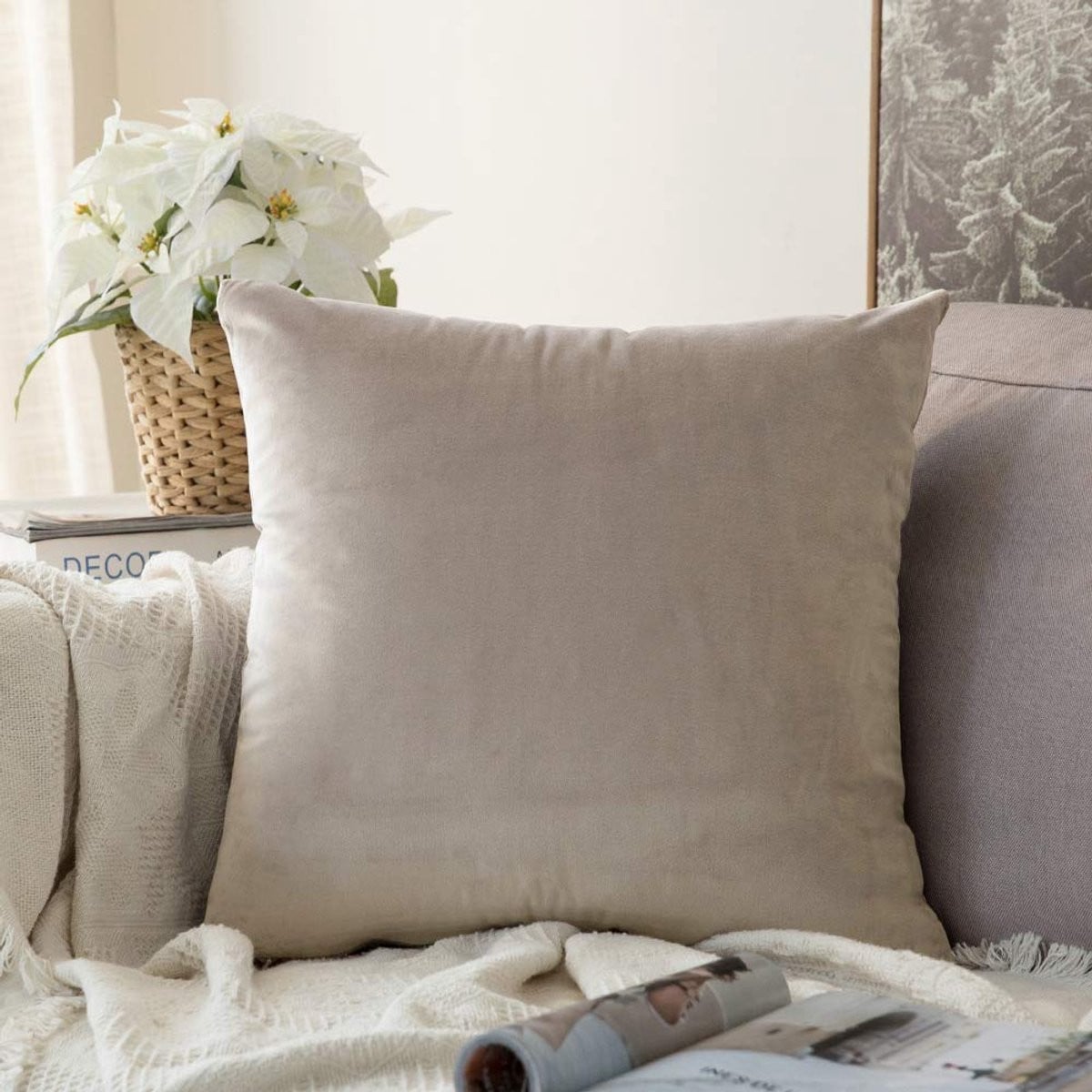 Ibenzoa Decoratieve Fluwelen Kussensloop met Verborgen Ritssluiting
