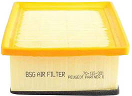 BSG BSG 70-135-001 Filtro aria