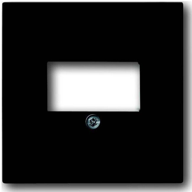 Busch-Jaeger Rosace centrale anthracite pour UAE/TAE/LS 1766-81 (2CKA001710A3613)