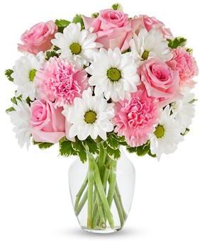 From You Flowers Pastel Daisy & Rose Delight
