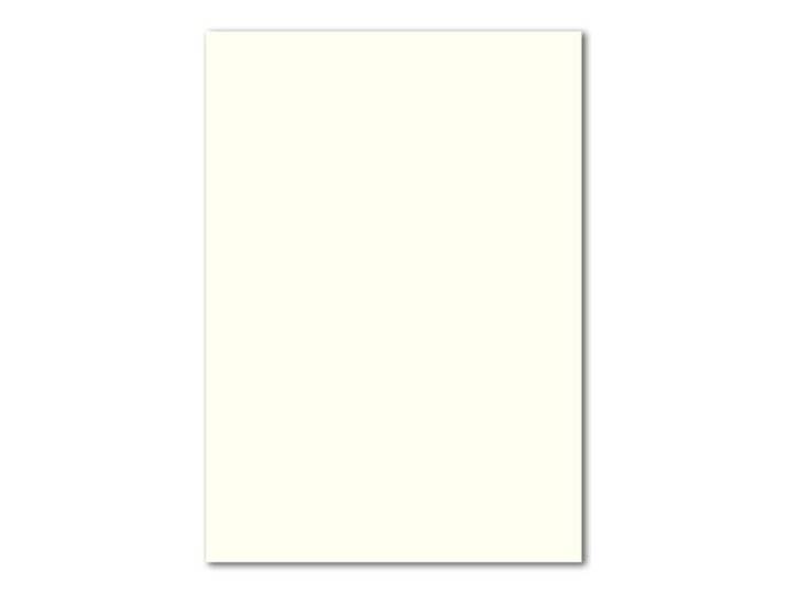 1000 DIN A4 Papierbogen Planobogen - Naturweiß (Weiß) - 160 g/m² - 21 x 29,7 cm - Bastelbogen Ton-Papier Fotokarton Bastel-Papier Ton-Karton - FarbenFroh