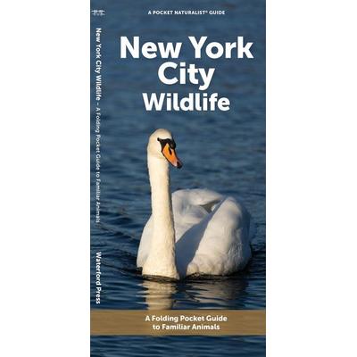 New York City Wildlife, Geheftet von J. M. Kavanagh, Waterford Press, 978-1-62005-626-4