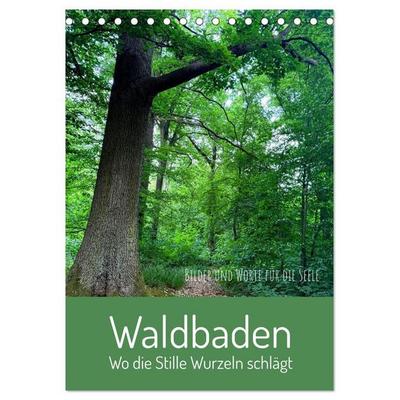 Waldbaden – Wo die Stille Wurzeln schlägt (Tischkalender 2027 DIN A5 hoch), CALVENDO Monatskalender
